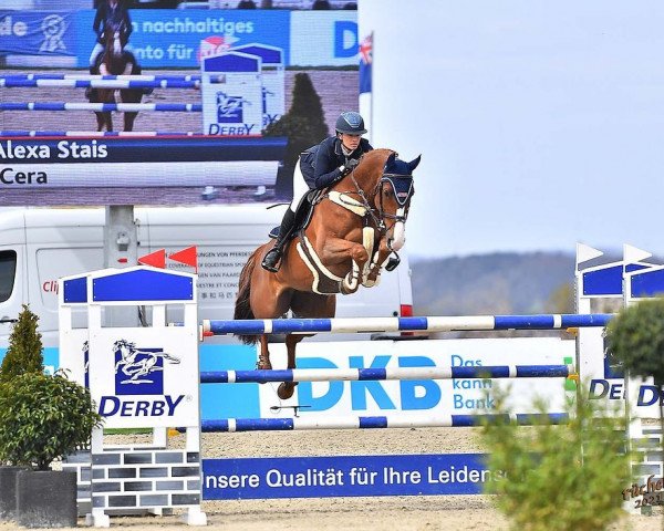 jumper Cera (German Sport Horse, 2009, from Chap 47)
