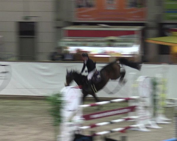 Reitturnier Prussendorf 2023