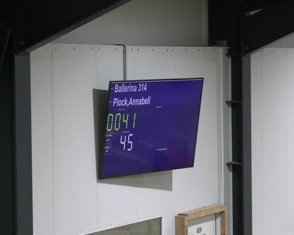 Reitturnier Borken 2023