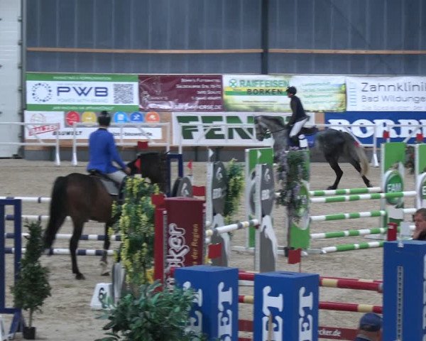 Reitturnier Borken 2023