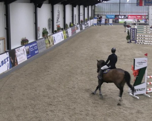Reitturnier Borken 2023