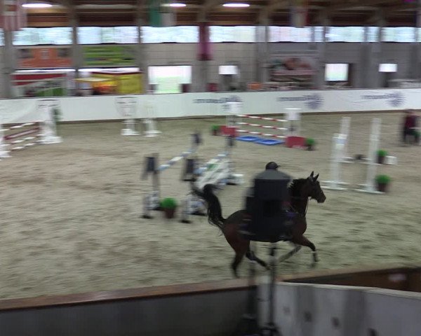 Reitturnier Prussendorf 2023