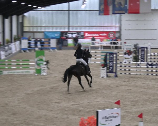 Reitturnier Borken 2023