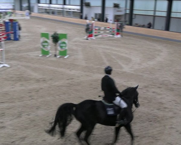 Reitturnier Borken 2023
