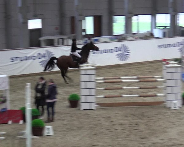 Reitturnier Prussendorf 2023