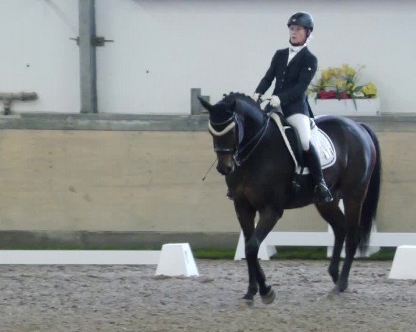 Reitturnier Waghäusel-Wiesental 2023
