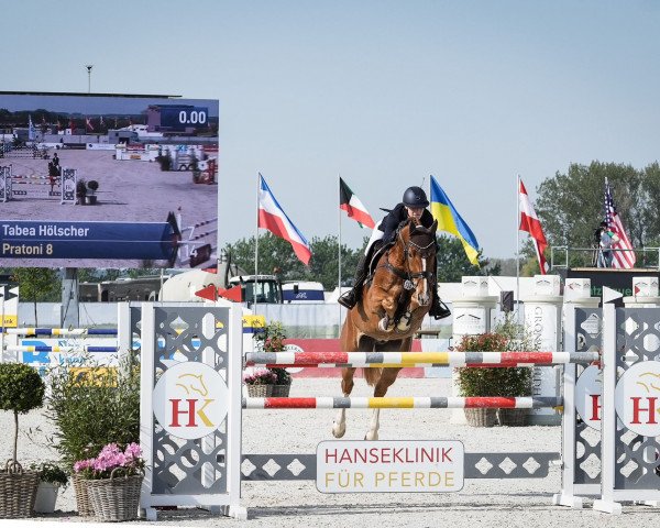 jumper PRATONI 8 (Westphalian, 2015, from Pilothago Dxb)