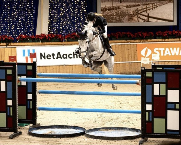 jumper Hella 405 (KWPN (Royal Dutch Sporthorse), 2012, from Biscayo)