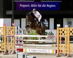 jumper C'est bien 2 (Holsteiner, 2011, from Cachas)