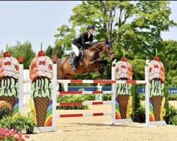 jumper Ina van de Helle (Belgian Warmblood, 2014, from Carlow van de Helle)