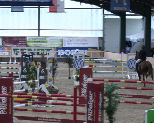 Reitturnier Borken 2023