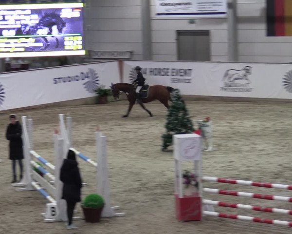 Reitturnier Prussendorf 2023