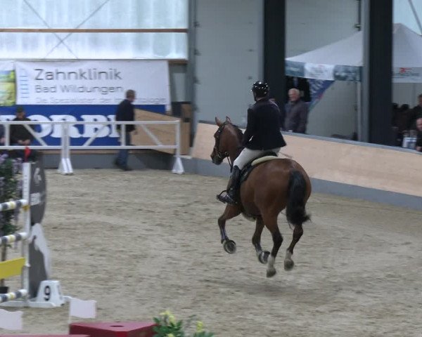 Reitturnier Borken 2023