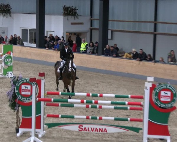 Reitturnier Borken 2023
