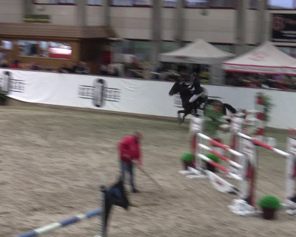 Reitturnier Prussendorf 2023