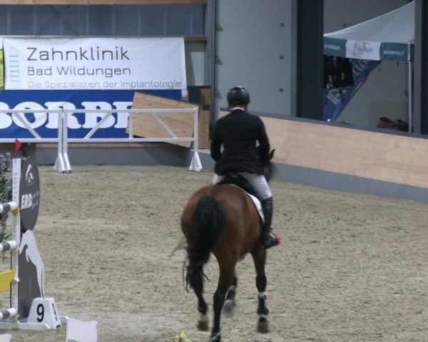 Reitturnier Borken 2023
