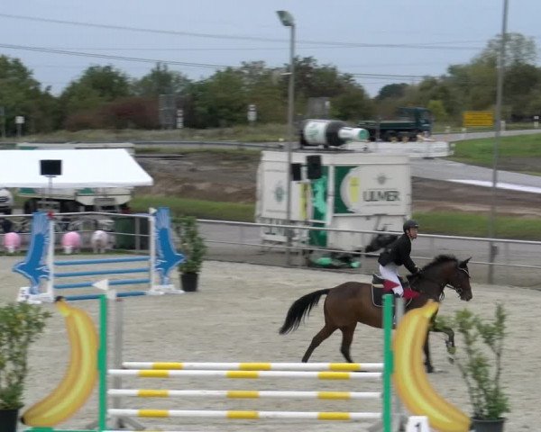 Reitturnier Achern 2023