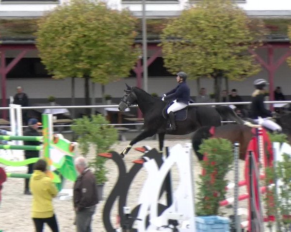 Reitturnier Achern 2023