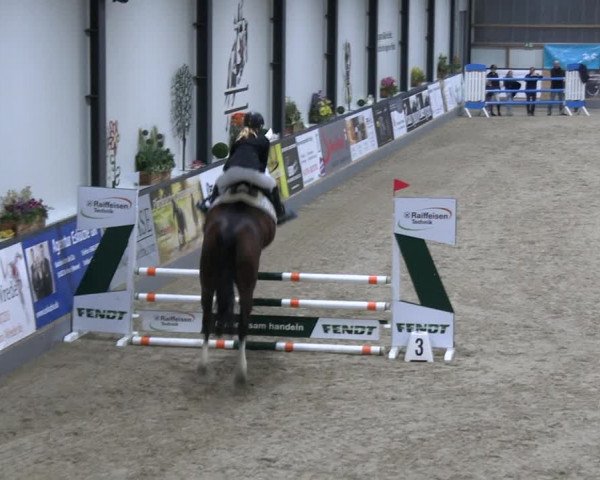 Reitturnier Borken 2023