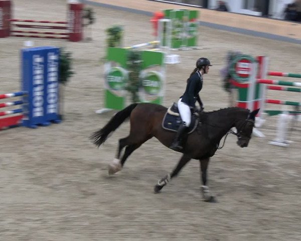 Reitturnier Borken 2023