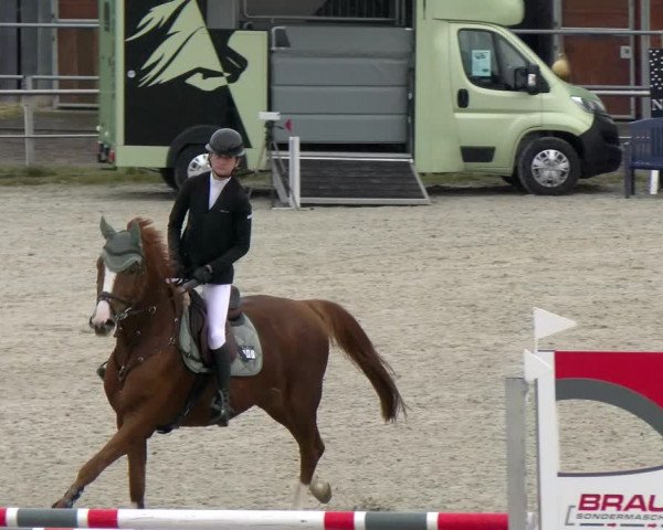 Reitturnier Achern 2023