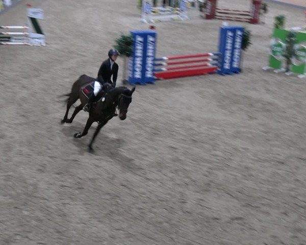 Reitturnier Borken 2023