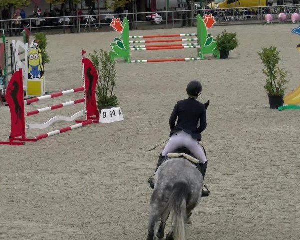 Reitturnier Achern 2023