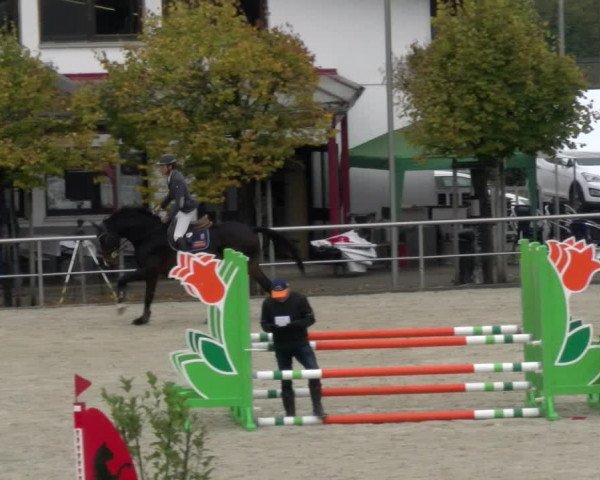 Reitturnier Achern 2023