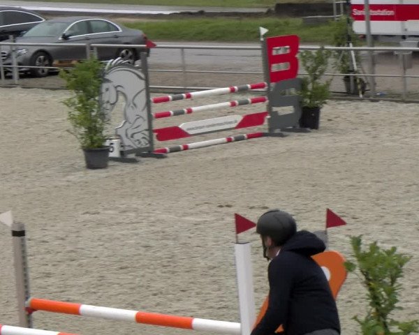 Reitturnier Achern 2023