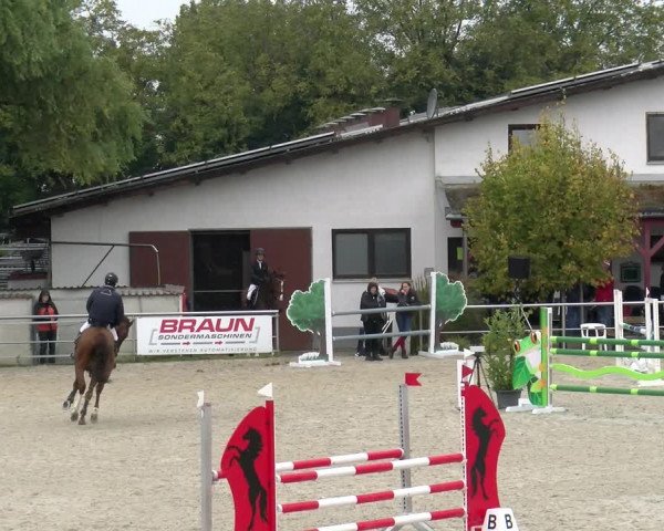 Reitturnier Achern 2023