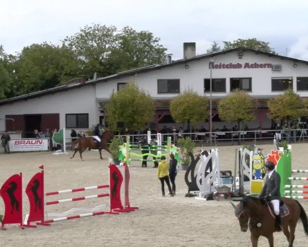 Reitturnier Achern 2023