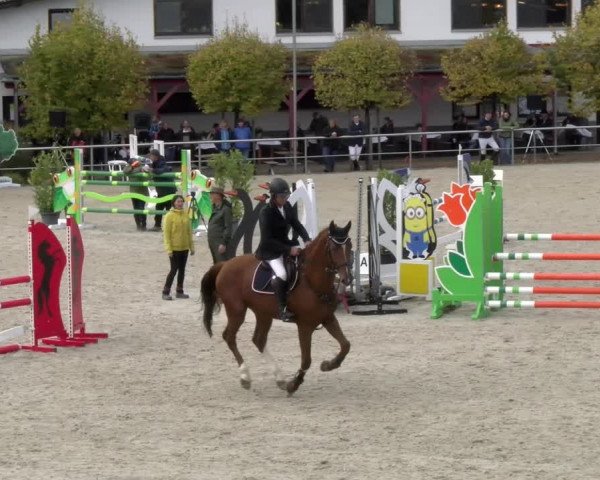 Reitturnier Achern 2023