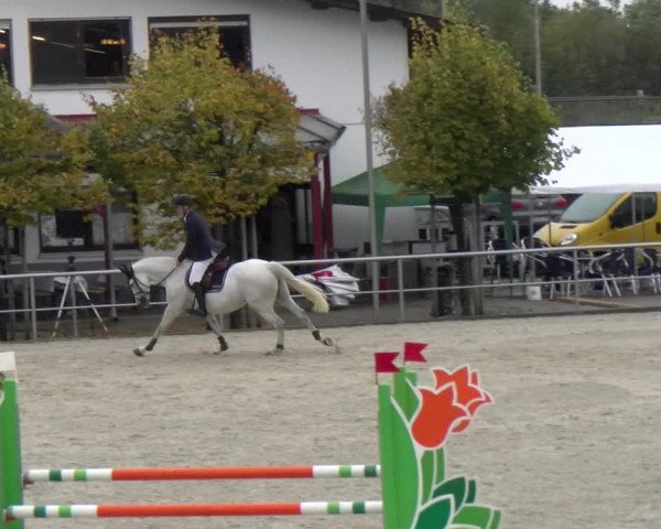 Reitturnier Achern 2023