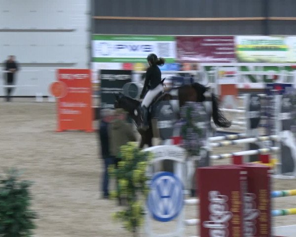 Reitturnier Borken 2023