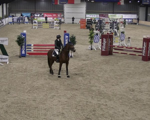 Reitturnier Borken 2023