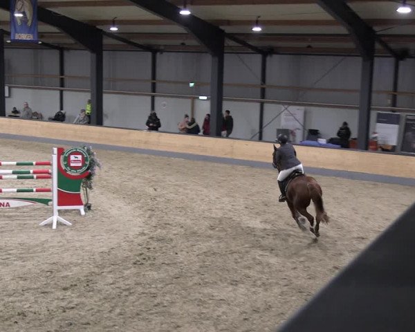 Reitturnier Borken 2023