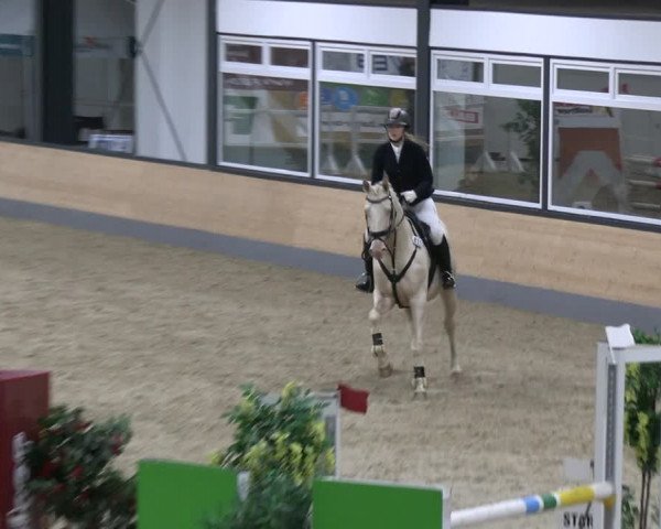 Reitturnier Borken 2023