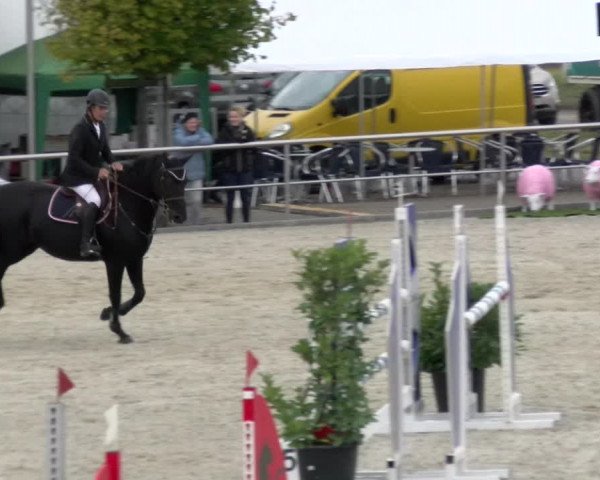 Reitturnier Achern 2023
