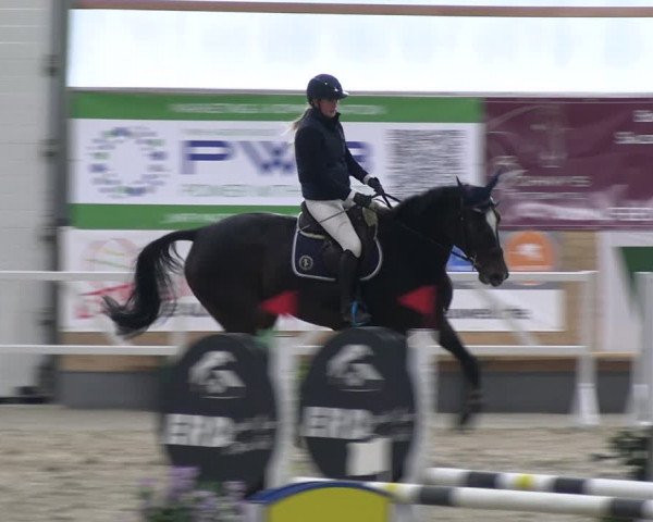 Reitturnier Borken 2023