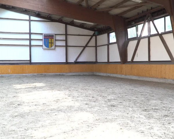 Hannoveraner Zuchtstutenprüfung mit Prämierung in Wickrath 2021