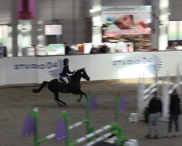 Reitturnier Prussendorf 2023