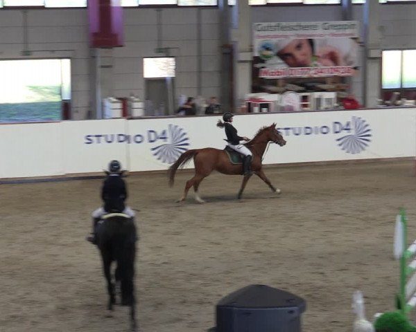 Reitturnier Prussendorf 2023
