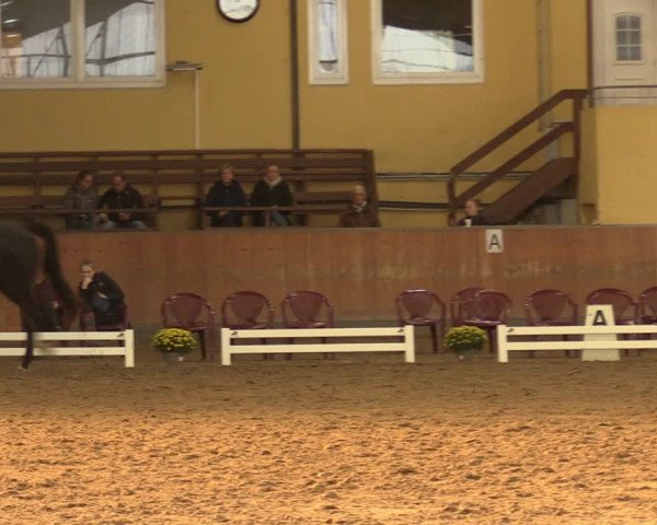Reitturnier Frechen-Grefrath - Sonnenhof 2023