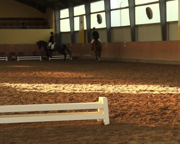 Reitturnier Frechen-Grefrath - Sonnenhof 2023