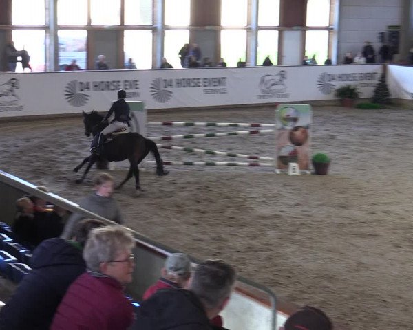 Reitturnier Prussendorf 2023