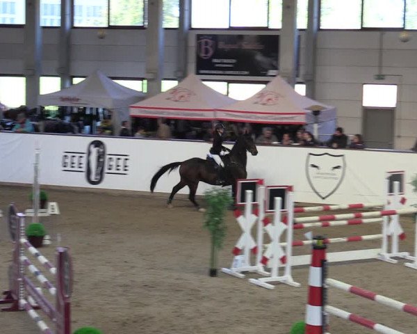 Reitturnier Prussendorf 2023