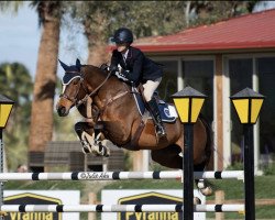 broodmare Gracile (KWPN (Royal Dutch Sporthorse), 2011, from Quasimodo vd Molendreef)