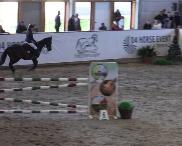 Reitturnier Prussendorf 2023