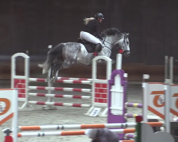 Reitturnier Tremsdorf, Eichenhof 2023