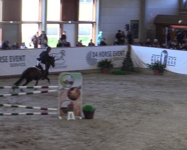 Reitturnier Prussendorf 2023